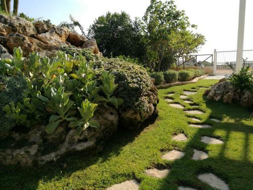 Bed & Breakfast La Scogliera