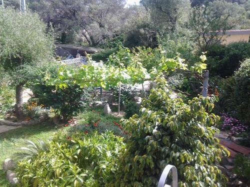 Bed & Breakfast Vecchia Fonte 3