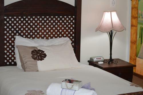 Hostal Aandbloem Guest House