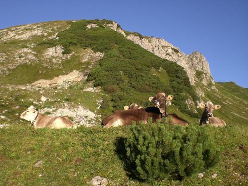 Almdorf Tirol