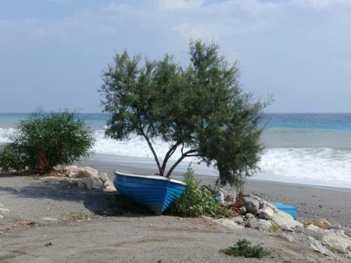 B&B Nereidi