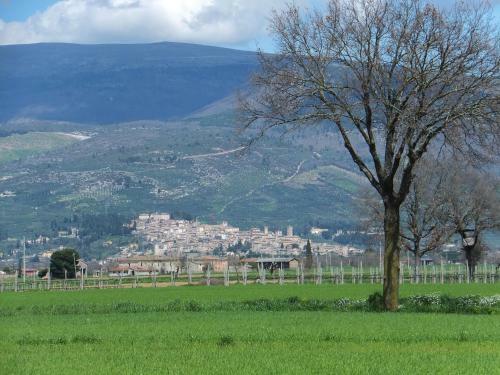 Agroturismo Cascina Antonini