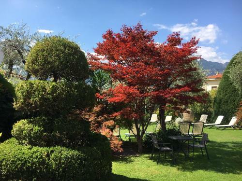 Hotel Ariston