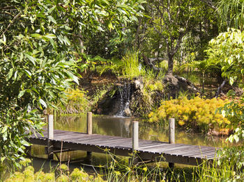 Hotel Cedar Park Rainforest Resort