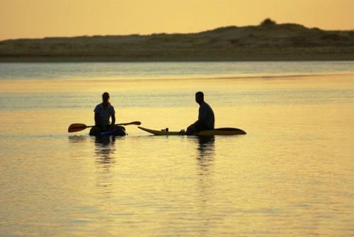 Sedgies On The Water