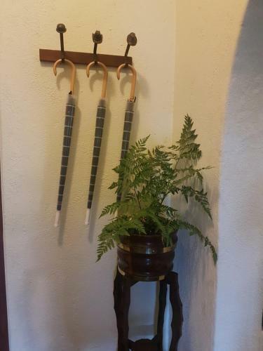 Hostal Laughing Waters Guest House