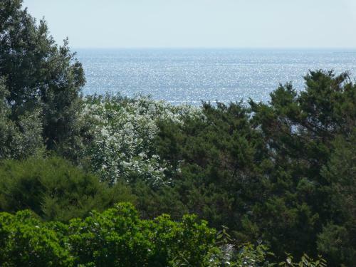 Casa Vacanza La Ginestra