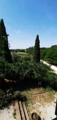 Agroturismo Palma's Country B&B