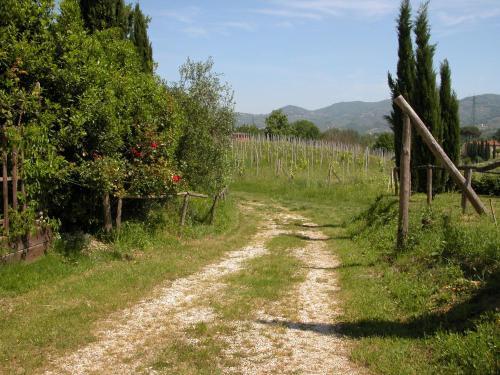 Agroturismo Palma's Country B&B