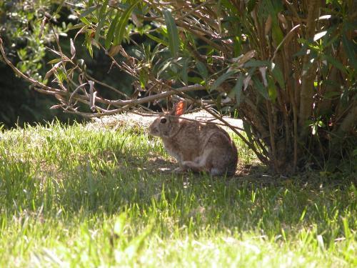 Agroturismo Palma's Country B&B