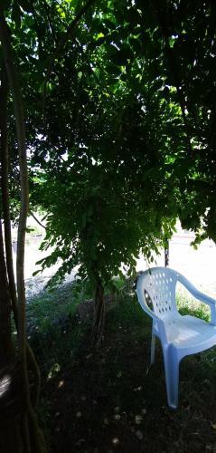 Agroturismo Palma's Country B&B