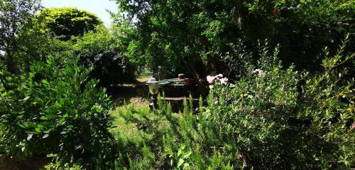 Agroturismo Palma's Country B&B