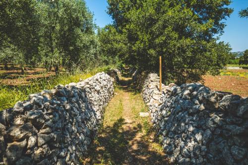 Villa Sardedda Trulli Suite