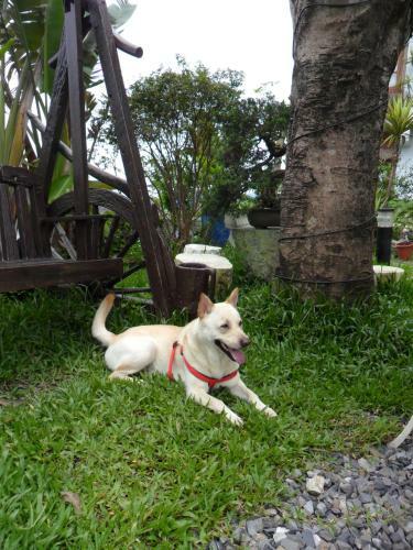 Beautiful Yilan Resort