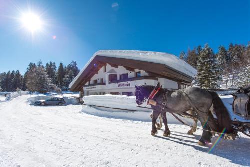 Apartamento Ferienwohnungen Haus Wildsee