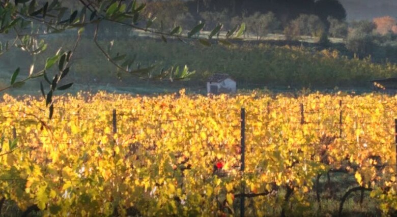 Agroturismo La Capannaccia