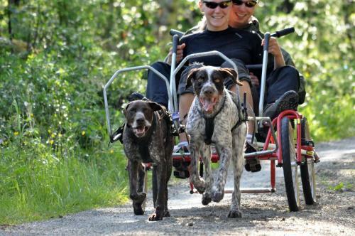 Lodge Birkelund Camping