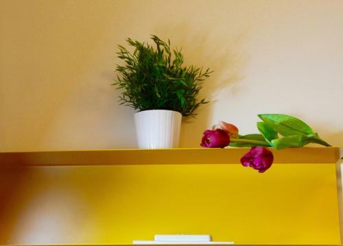 Apartamento Al 22 Appartamenti