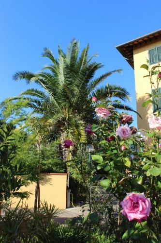 Hotel Albergo La Pieve
