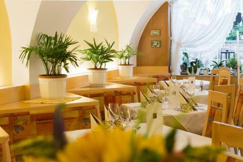 Hotel Markushof