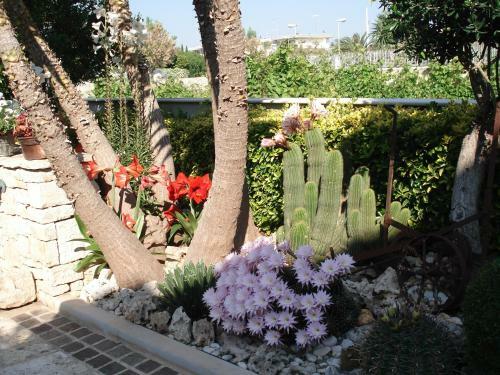 B&B La Rosa Blu