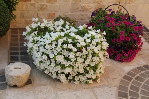 B&B La Rosa Blu