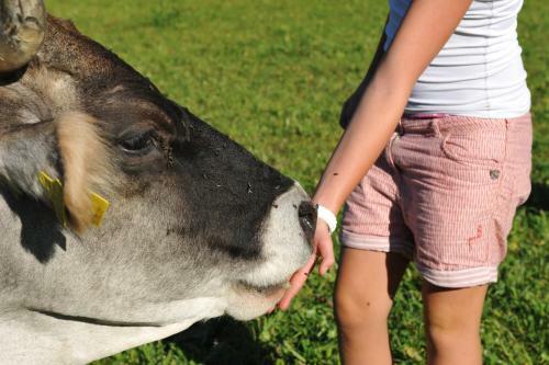 Agroturismo Untersillerhof