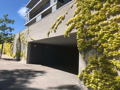 Apartment Parkvilla Traunsee
