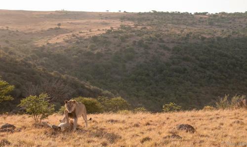 Samara Private Game Reserve Karoo Lodge