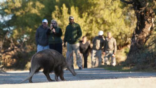 Samara Private Game Reserve Karoo Lodge