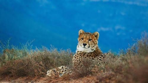 Samara Private Game Reserve Karoo Lodge