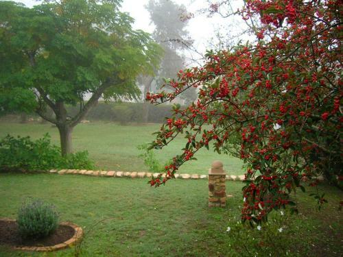 Hostal Dempsey's Guest House
