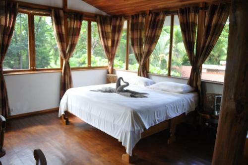 Hostal Casa Aba Matapalo