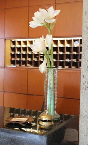 Hotel Azar