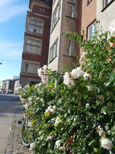 Aaboulevard Apartment