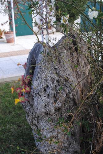 Hotel Giardino Giamperduto