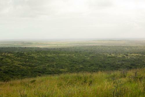 Hostal Zululand Tree Lodge