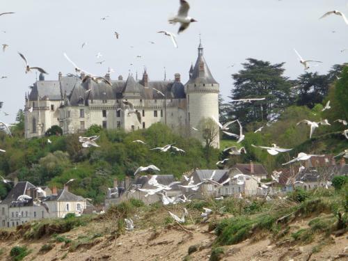 Le Clos Des Livaudieres