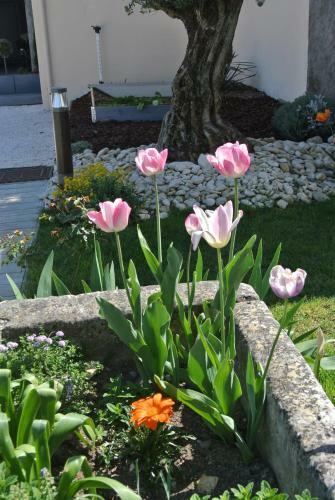 Bed & Breakfast Chambres D'h�tes La Rochelle