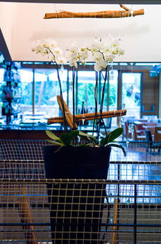 Hotel Milano Alpen Resort