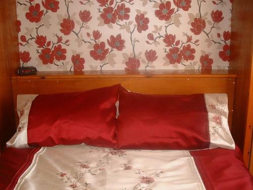 Hostal Lewinsdale Lodge