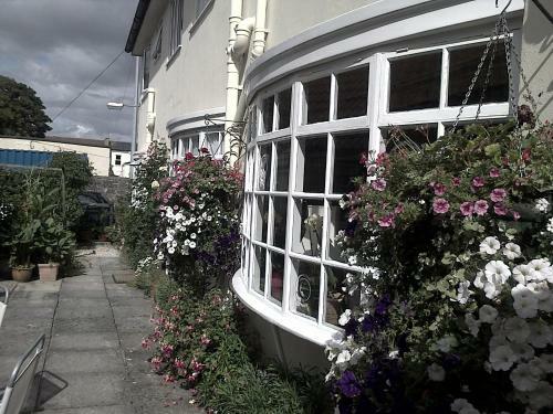 Hostal Lewinsdale Lodge