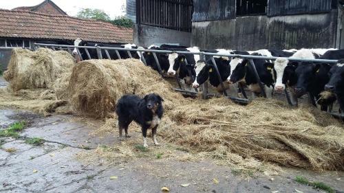 Agroturismo Locking Head Farm