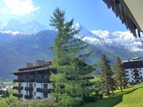Apartamento Residence Du Brevent IV Chamonix