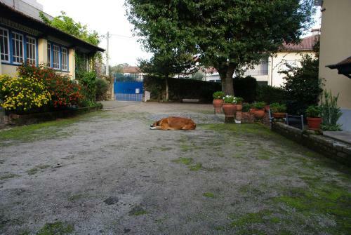 Apartamento Tapada Flats