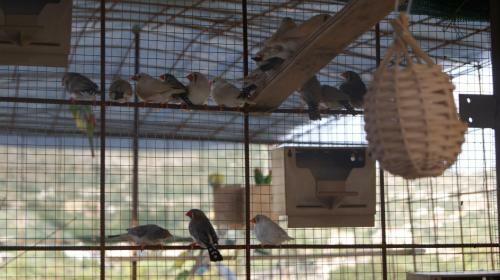 Bed & Breakfast Eyexei Domus