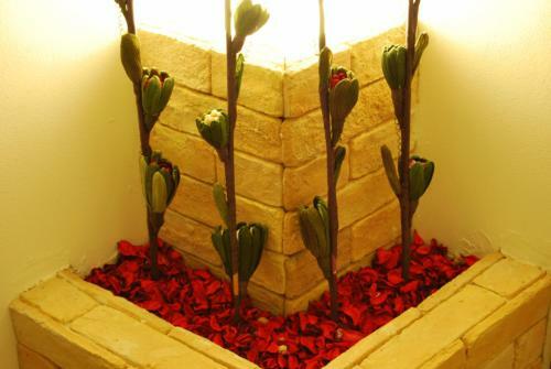 B&B Le Cinque Novelle