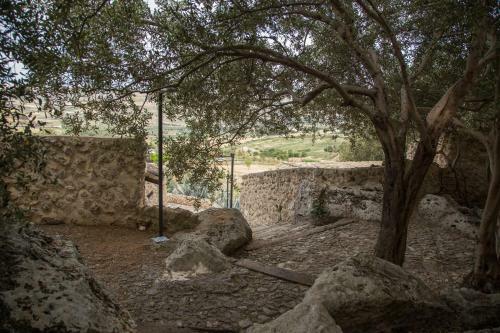 Bed & Breakfast Roba Degli Ulivi