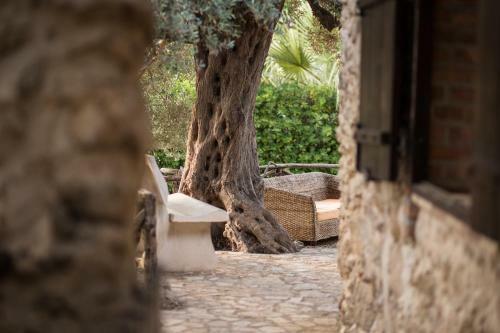Bed & Breakfast Roba Degli Ulivi