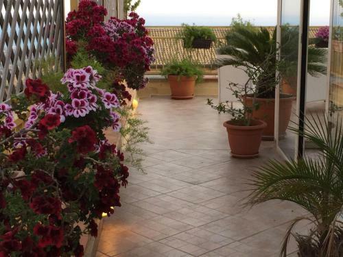 B&B Portatenea